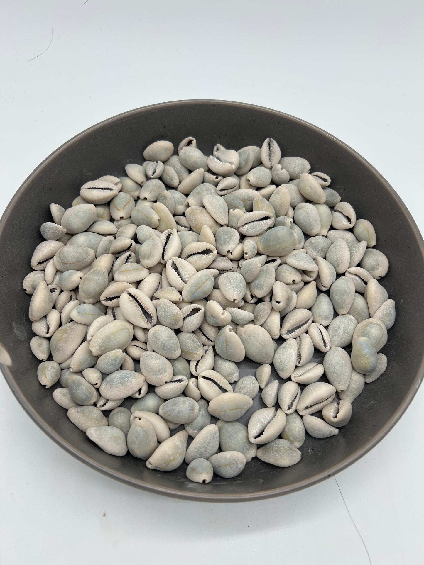 Owo Eye (Closed Cowries)