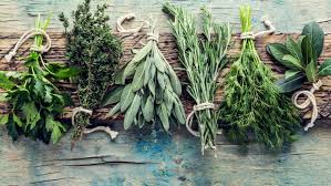 Herbs and Body Care