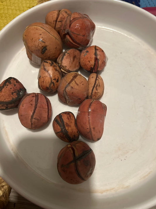 Kola Nuts-Obi (4-5 Lobe) end of season