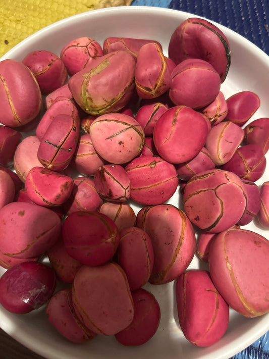 Kola Nuts-Obi (4-5 Lobe) New Season