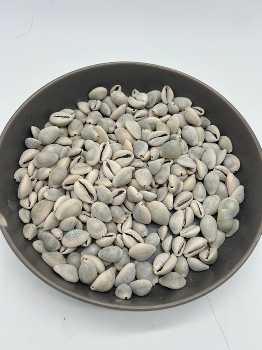 Owo Eye (Closed Cowries)